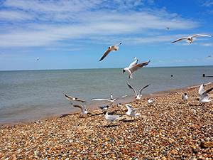 Severné more, Sheerness on Sea, UK