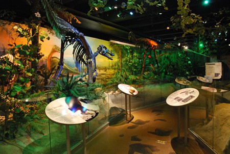 Časť s dinosaurami, Museum of Natural Sciences, North Carolina